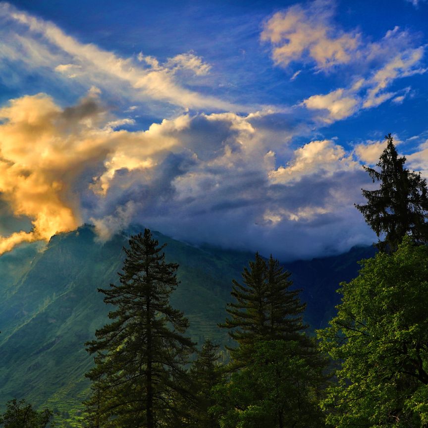 buy property in Himachal Pradesh