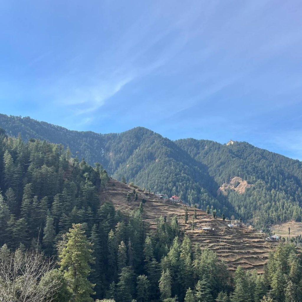 villa in Kasauli for sale